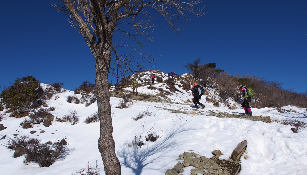 雪の塔ノ岳 金冷シ、頂上付近