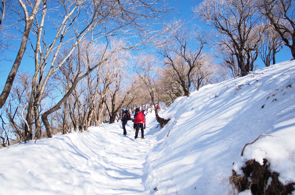 雪の塔ノ岳 頂上付近