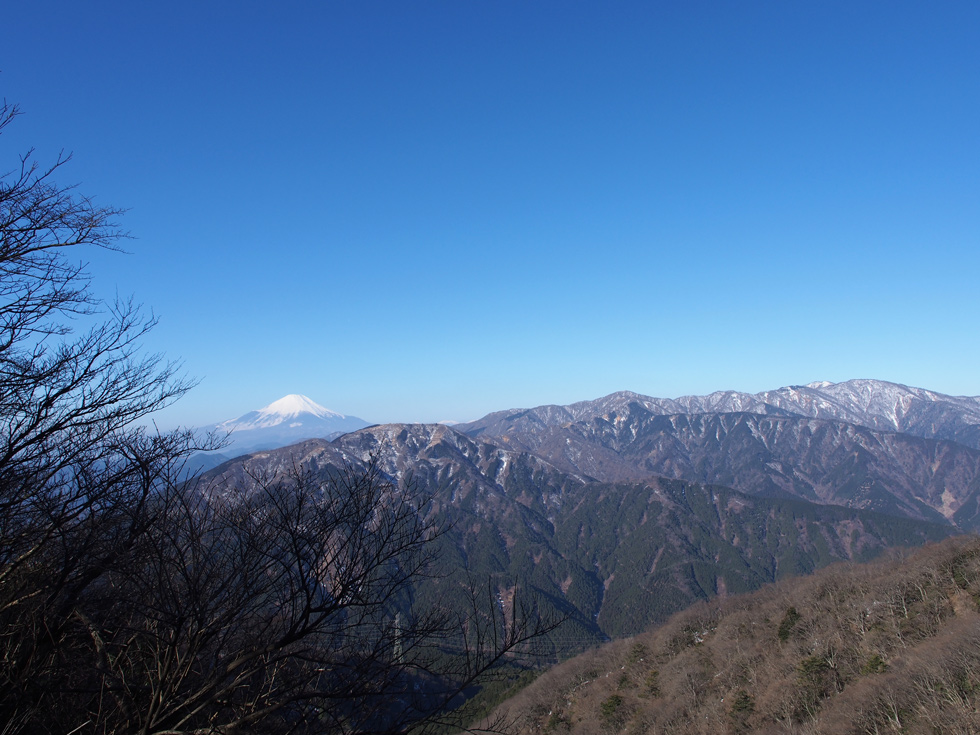 大山　イタツミ尾根から富士山を見る