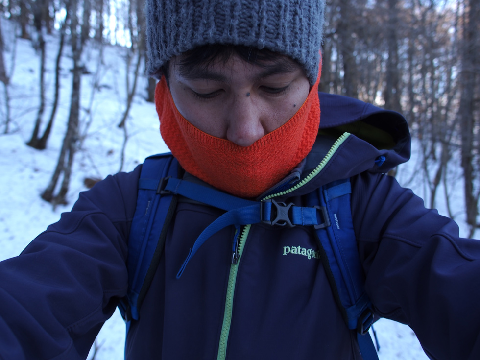 アウトドア 登山用品 超絶軽いパタゴニアのメリノ・エア・フーディを使ったのでレビュー 
