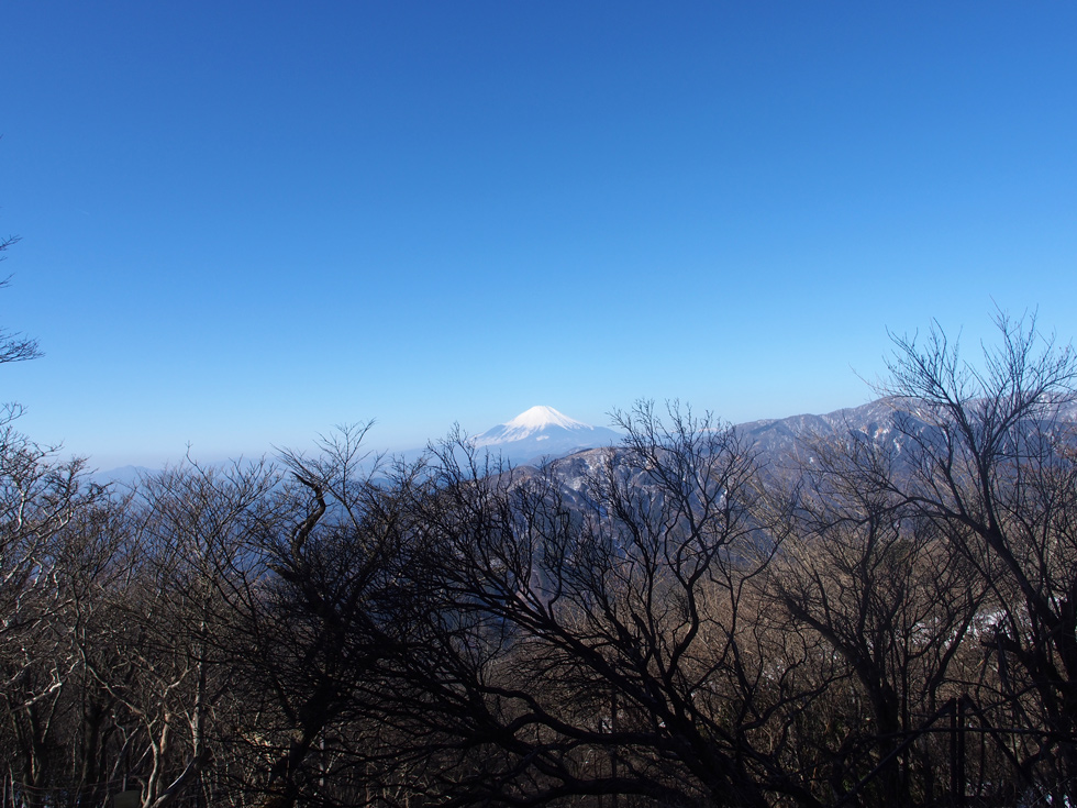 鳥居近くから富士山を見る
