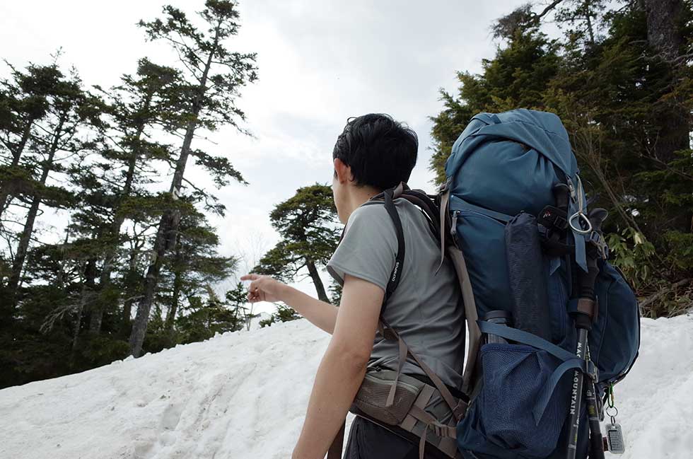 BALTORO65 バルトロ65 GREGORY グレゴリー 登山 テント泊 - 登山用品