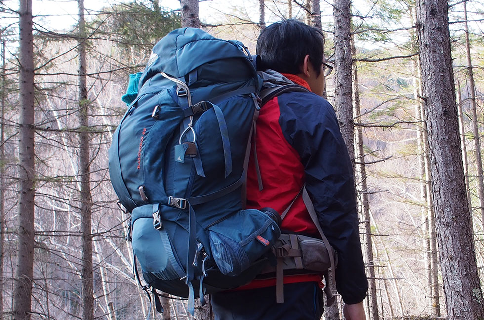 BALTORO65 バルトロ65 GREGORY グレゴリー 登山 テント泊 - 登山用品