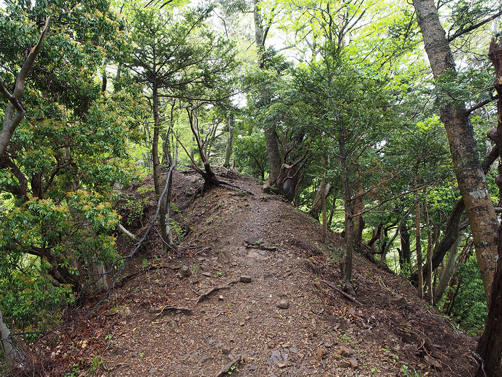 東丹沢の仏果山登山